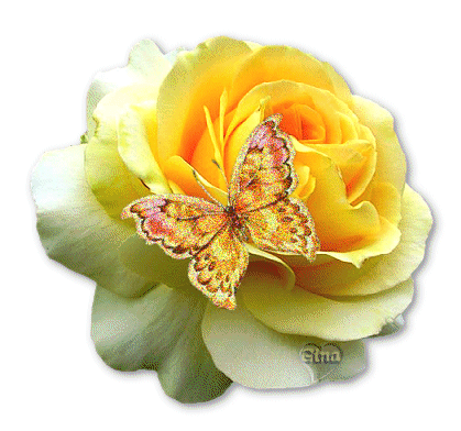 Rosas_094.gif