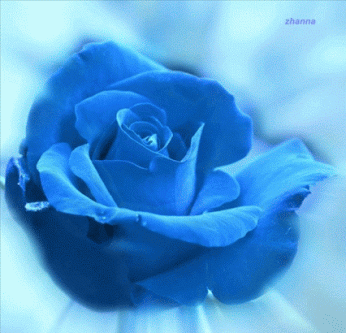Rosas_097.gif