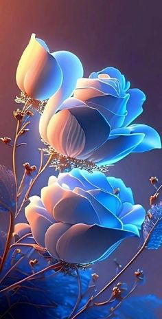 Rosas_138.jpg
