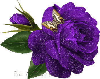 Rosas_139.gif