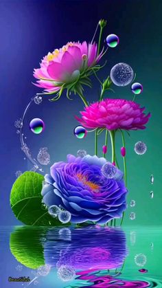 Rosas_140.jpg