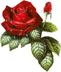 Rosas_143.jpg