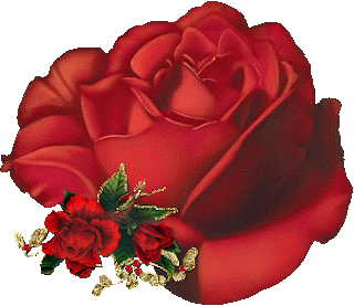 Rosas_146.gif