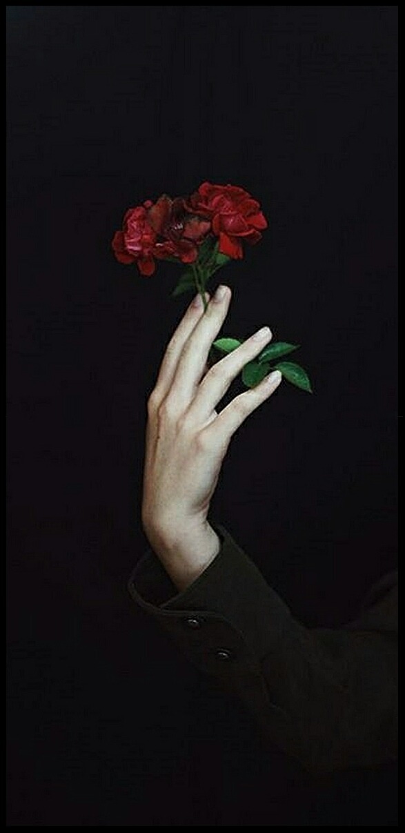 Rosas_157.jpg