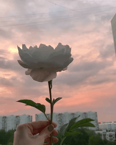 tumblr_c405f9531cd97a75e80f4b741e436967_79813961_400.gif