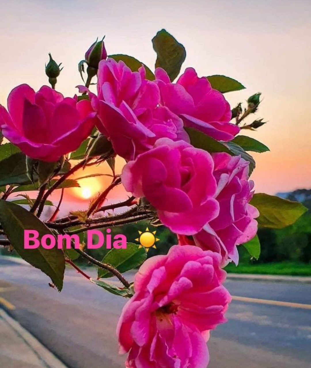Bom_Dia_001.gif