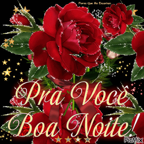 Boa_Noite_007.gif