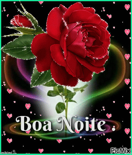 Boa_Noite_014.gif