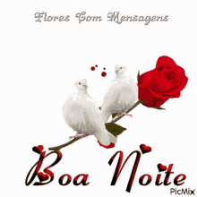 Boa_Noite_020.gif