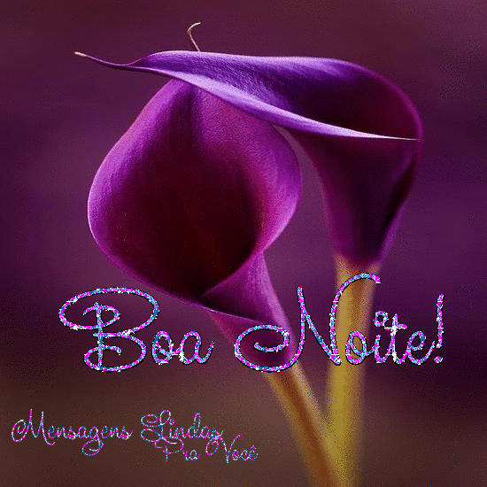 Boa_Noite_030.gif