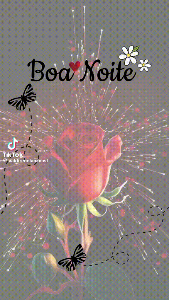 Boa_Noite_033.gif