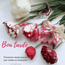 Boa_Tarde_002.gif