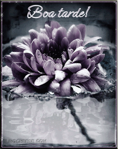 Boa_Tarde_006.gif