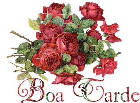 Boa_Tarde_012.gif