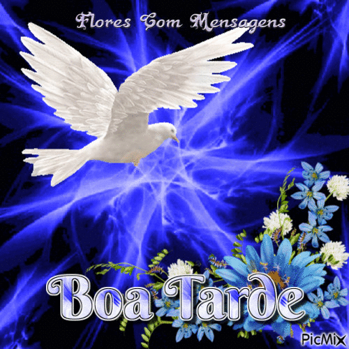 Boa_Tarde_027.gif