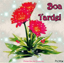 Boa_Tarde_030.gif