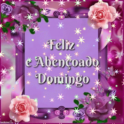 X1_Domingo_001.gif