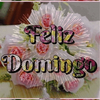 X1_Domingo_006.gif