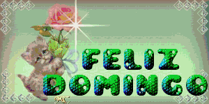 X1_Domingo_007.gif