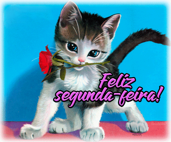 X2_Segunda_Feira_007.gif