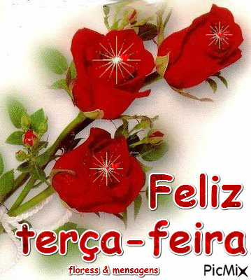 X3_TerЗa_Feira_003.gif