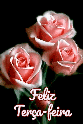 X3_TerЗa_Feira_004.gif