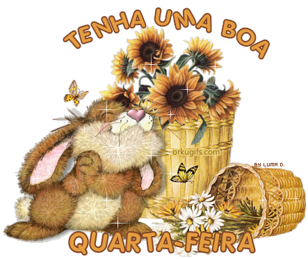 X4_Quarta_Feira_008.gif