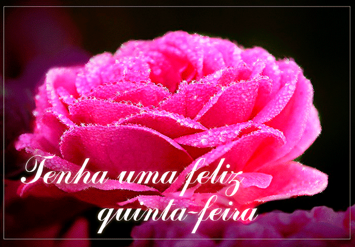 X5_Quinta_Feira_003.gif