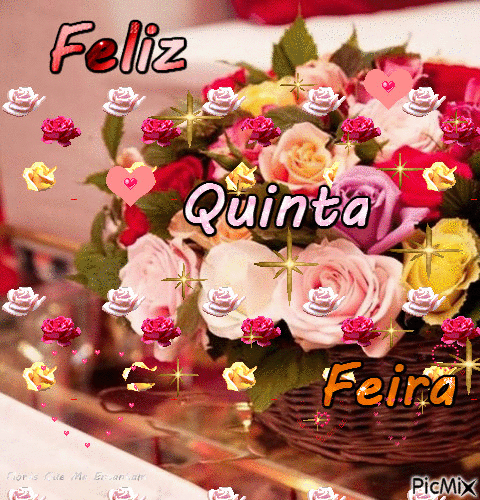 X5_Quinta_Feira_005.gif