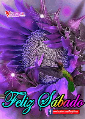 X7_Sabado_005.gif