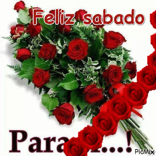 X7_Sabado_009.gif