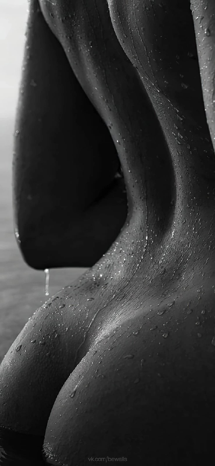 Sensuais_338.jpg