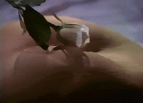 tumblr_nh1fo0bpIi1r2welho1_500.gif