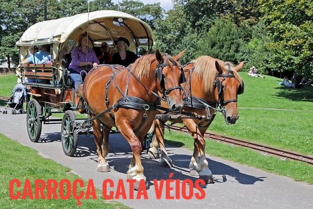 CarroЗa_Cata_Veios_001.jpg