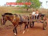 CarroЗa_Cata_Veios_002.jpg