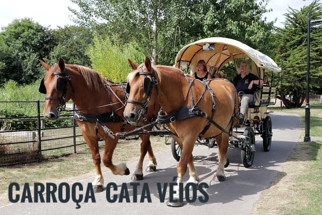 CarroЗa_Cata_Veios_004.jpg