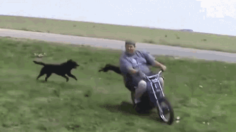 Outros_001.gif