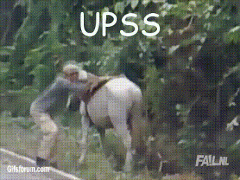 Outros_006.gif