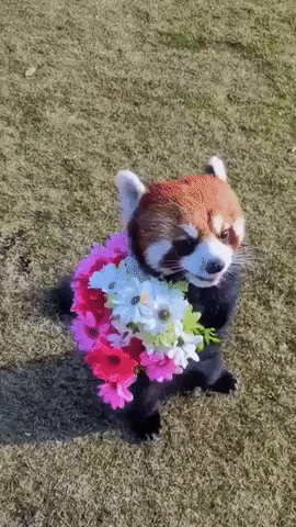 Outros_030.gif