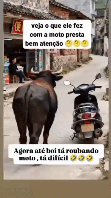 Outros_045.gif